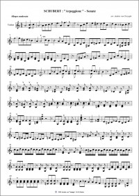 ATV041 • SCHUBERT - Sonate «Arpeggione» - Stimmen (3)