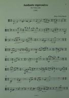 Notenbeispiel / Music example Viola