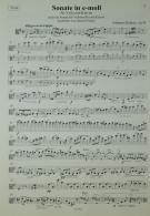 Notenbeispiel / Music example Viola