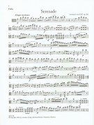 Notenbeispiel / Music example Viola