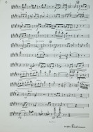 Notenbeispiel / Music example Viola 6