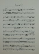 Notenbeispiel / Score example