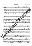 Notenbeispiel / Score example