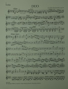 Notenbeispiel / Music example Violino