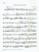 Notenbeispiel / Music example Viola