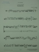 Notenbeispiel / Music example Viola