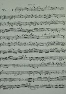 Notenbeispiel / Music example Viola